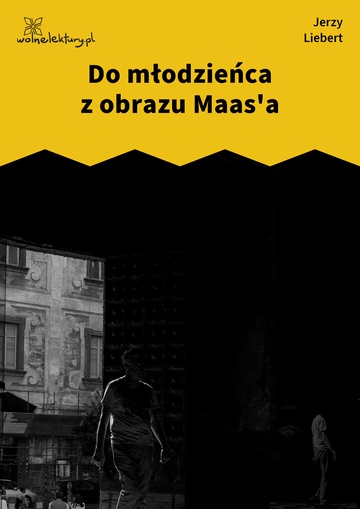 Do młodzieńca z obrazu Maas'a