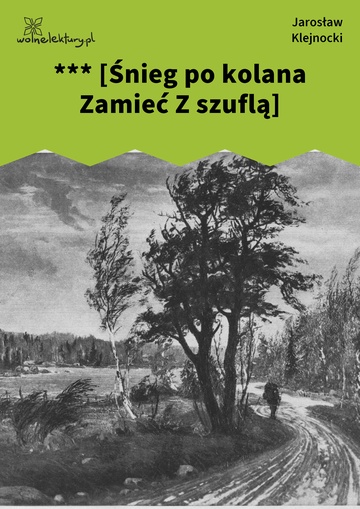 Jarosław Klejnocki, Elegia na śmierć szczegółów (tom), I. Ciemna zasłona, mętne zwierciadło, *** [Śnieg po kolana Zamieć Z szuflą]