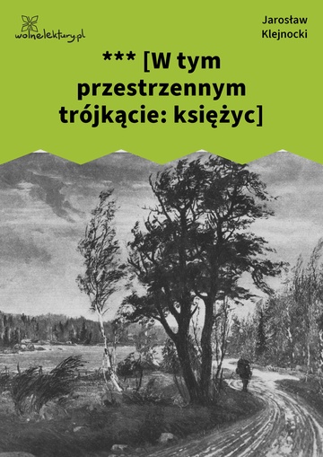 Jarosław Klejnocki, Elegia na śmierć szczegółów (tom), I. Ciemna zasłona, mętne zwierciadło, *** [W tym przestrzennym trójkącie: księżyc]