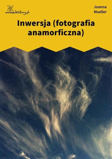 Joanna Mueller, Somnambóle fantomowe, Wersja intro, Inwersja (fotografia anamorficzna)